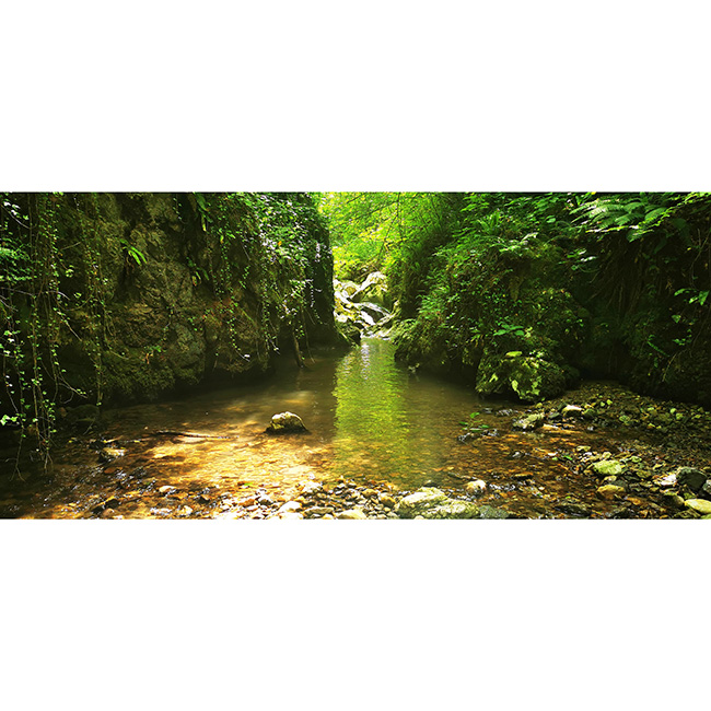 vilinska_dolina_tolmun_zelenec vilinska_dolina_tolmun_zelenec